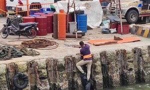 Helping A Dog Out Of The Water