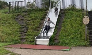 Dog Plays Hard On Slide