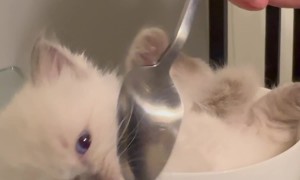 The Cutest Little Soup