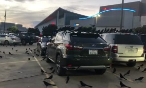 Definitely Not A Bad Omen