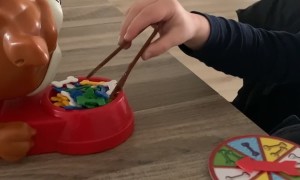 Croc Dog Causes A Spook