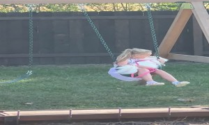 Girl and Dog Tumble Out of Swing Together