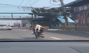 Pup Rides As Passenger on Bike