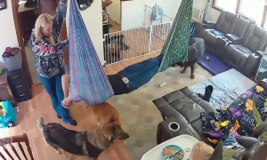 Living Room Swing Does Not Work As Intended