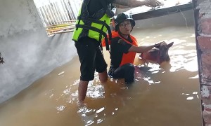 Trapped Dog Saved From Flood