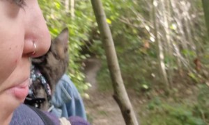 Taking The Cat For A Nature Walk