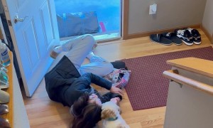 A Graceful Return From College