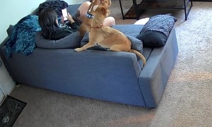 Sofa Sweethearts Turn Siren Superstars