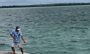 Dog Helps Pull Giant Rope