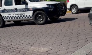 Minor Traffic Violation