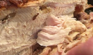 Dog Only Wants Seasoned Chicken