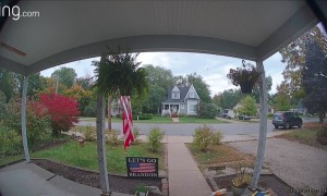 Just Had a Woodpecker Ring My Doorbell