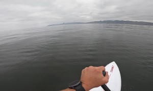Two Whales Breach Just Feet From Paddleboarder