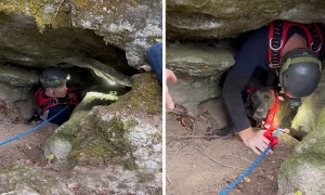 Dog trapped in deep cave for three days with a bear