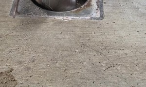 Stray Kitten Rescued From Drain Pipe