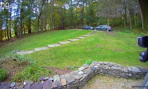New Puppy Knocks Dad Off His Feet