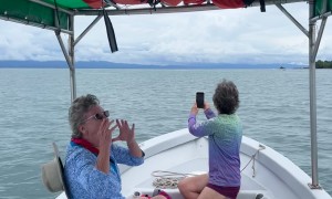 Enthusiastic Tourists React to Whale Sightings