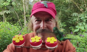 Hummingbird Hat Feeder