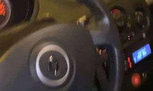 Driver Freaked Out by Spider on Steering Wheel