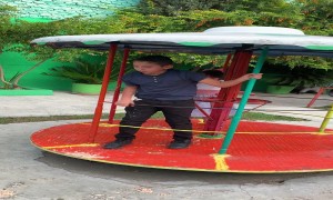 Chaos Breaks Out At Carousel Game