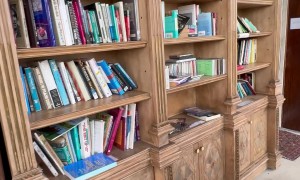 Florida Bookstore Has a Cat Cashier