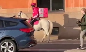 Horse Helps Deliver Food To Hungry Humans