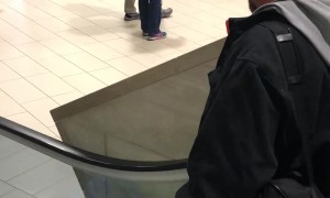 Florist Gump Romantic Airport Pickup