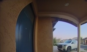 Neighborhood Boy Steals a Slice of Pizza