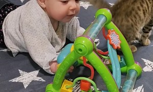 Two New Creatures Play Together