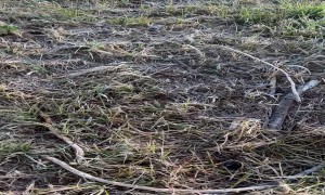 Unreal Scenery In The Colorado Mountains