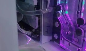 Literal Computer Bug