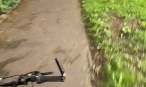 Pole Interrupts Bicycle Trick