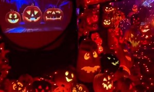Homeowner's Stunning Halloween Display