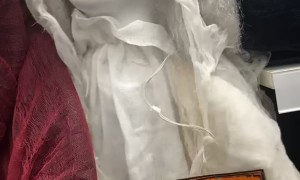 Halloween Doll Does Not Have The Intended Effect