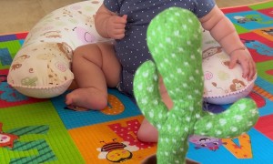 Crying Over Copying Cactus