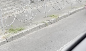 Guys Cruise By In Tiny Cars