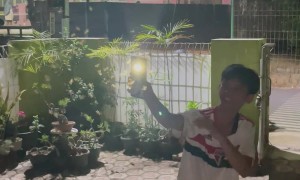 Clever Light Hack Clears Away Bugs