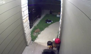 Halloween Animatronic Swiped From Front Doorstep