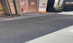 Body Slamming Squirrel Struggles With Doors