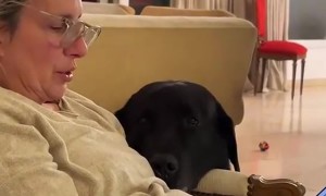 How Could You Say No To Those Eyes?