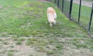 The Bird Is Her Singular Focus