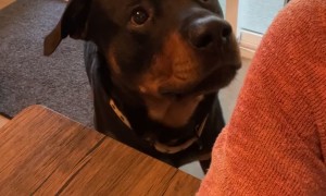 Mother It Is Time For Our Walk