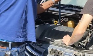 Removing a Venomous Snake From a Car Engine