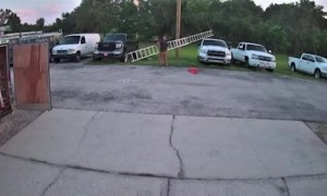 Guy Lets Ladder Fall on Pickup
