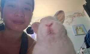 They Say Pets Look Like Their Owners