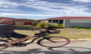 Mini Dachshund Cruises With Dad in a Bike Basket