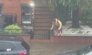 Dedicated Worker Makes Commute In Flooded New York City