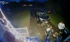 I did not, in fact, break my leg. #fail #fails #failarmy #funnyvideos #ladderfall #ladder #christmasfail #accident #falling #funnyfail