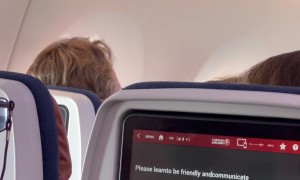 Displeased Passenger Leaves a Review for Airline