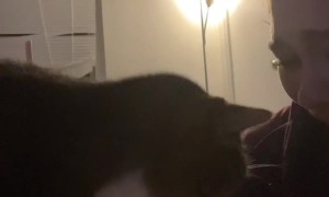 Beware The Soup Bandit